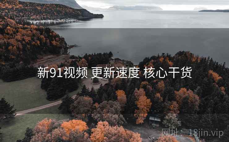 新91视频 更新速度 核心干货