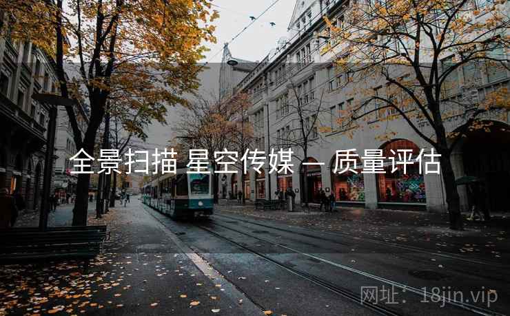 全景扫描 星空传媒 — 质量评估