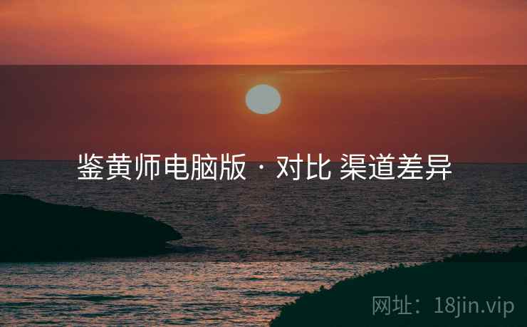 鉴黄师电脑版 · 对比 渠道差异