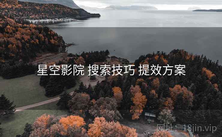 星空影院 搜索技巧 提效方案