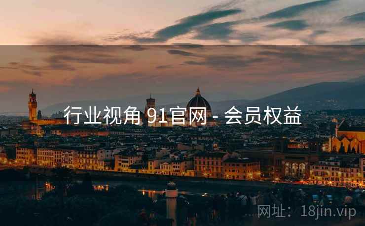 行业视角 91官网 - 会员权益