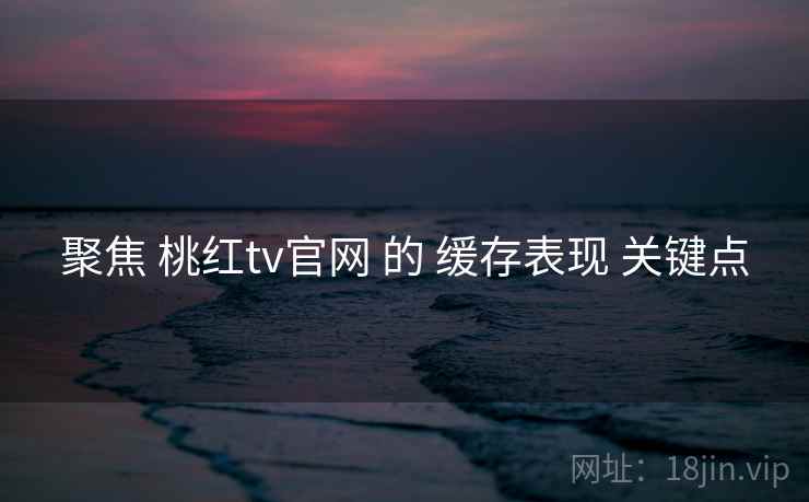聚焦 桃红tv官网 的 缓存表现 关键点