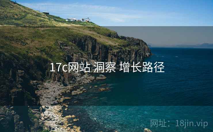 17c网站 洞察 增长路径