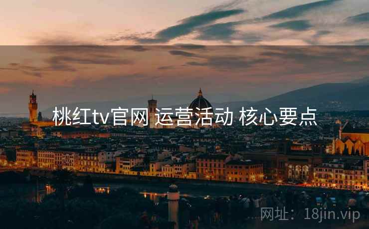 桃红tv官网 运营活动 核心要点