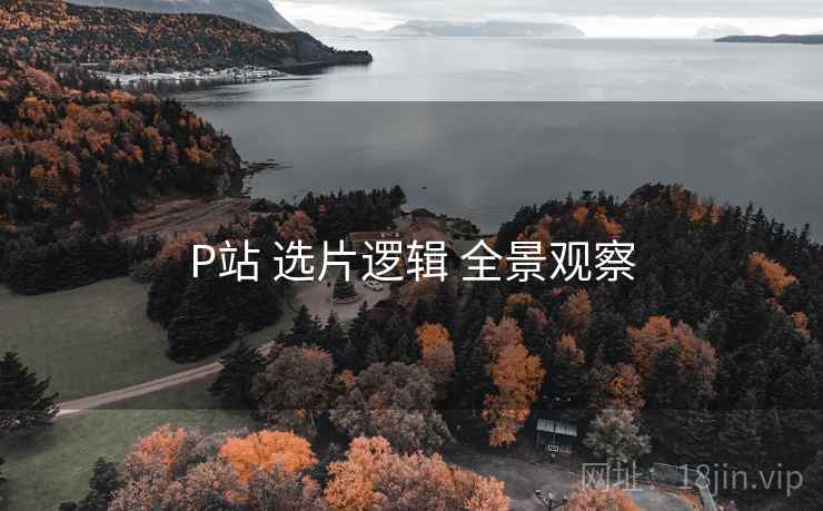 P站 选片逻辑 全景观察