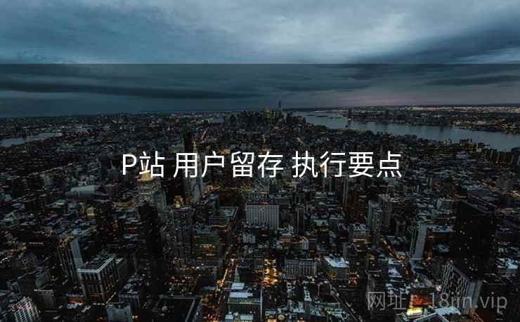 P站 用户留存 执行要点