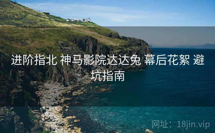 进阶指北 神马影院达达兔 幕后花絮 避坑指南